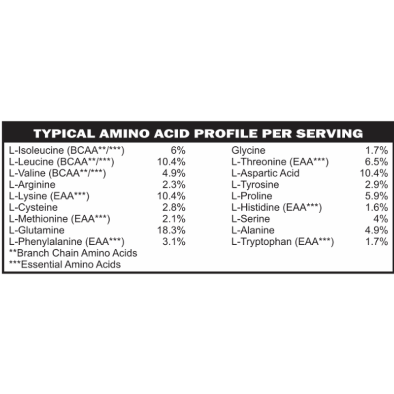 casa de sante Elemental Whey WPI Protein Powder + Digestive Enzymes (Chocolate) | Low FODMAP & GLP-1 Gut-Gentle Muscle Support Digestive Support Supplements
