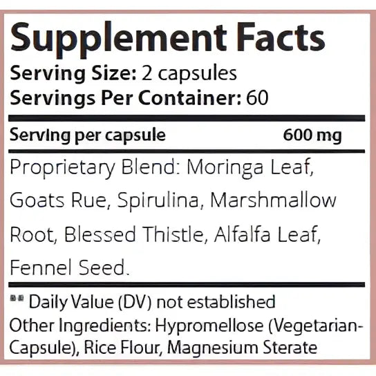 Lush Leche - Breastfeeding Supplement