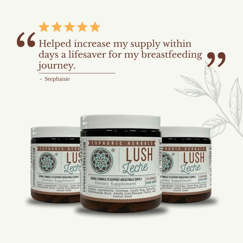 Lush Leche - Breastfeeding Supplement