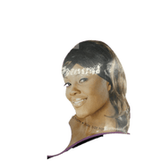 VIP Extensions Magic Collection Mesh Wrap Band/Cap Hair Accessories