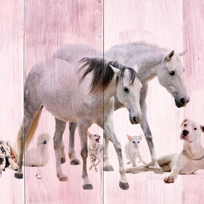 Dogs And Horses Wall Art