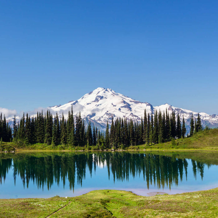 Mount Rainier Little Lagoon Wall Art