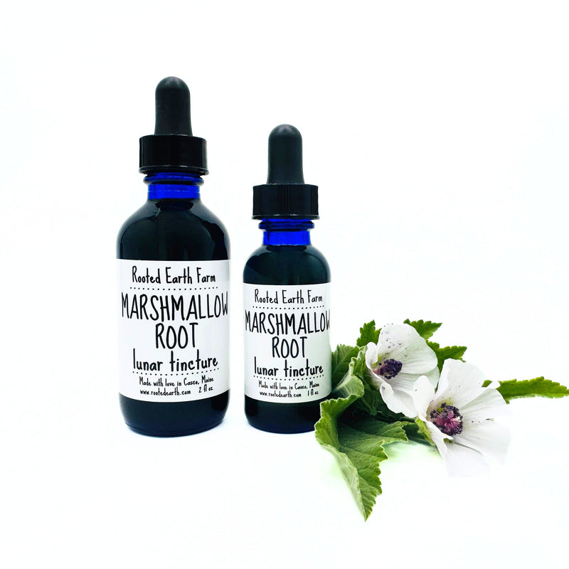 Rooted Earth Farm + Apothecary Marshmallow Root Tincture Tinctures + Capsules