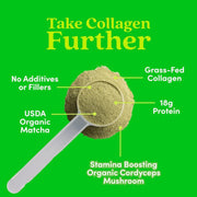 Further Food Matcha Collagen Peptides Powder Collagen
