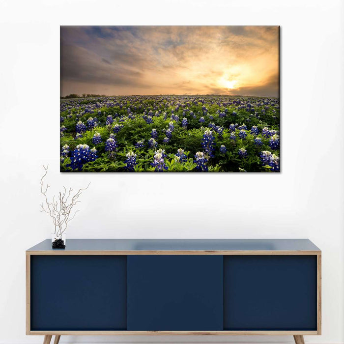 Bluebonnets At Sunset Wall Art