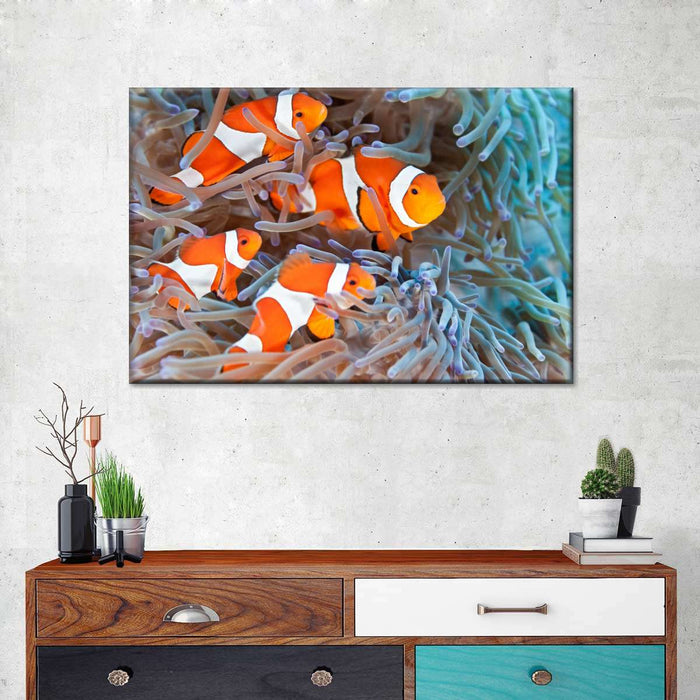 Clown Fish Wall Art