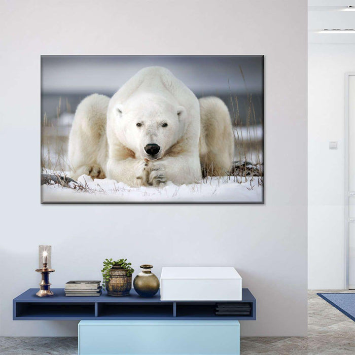 Yoga Polar Bear Wall Art