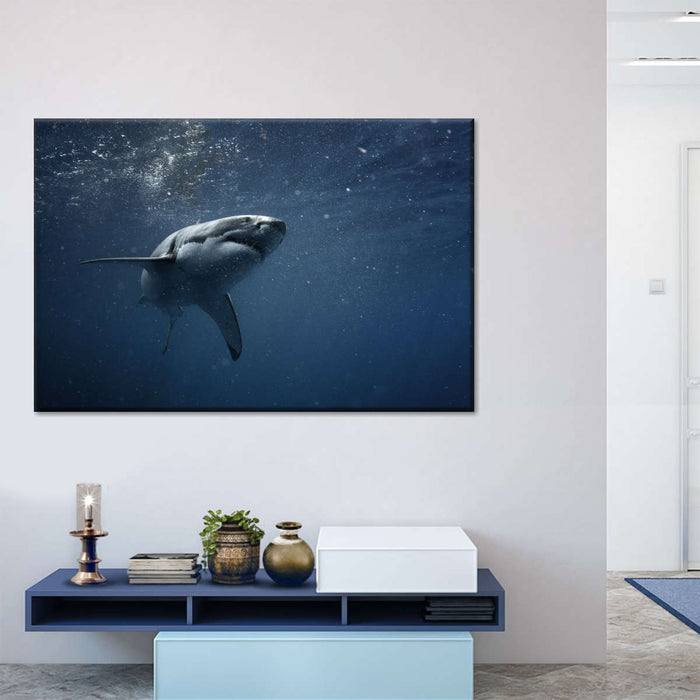 Great White Shark Wall Art