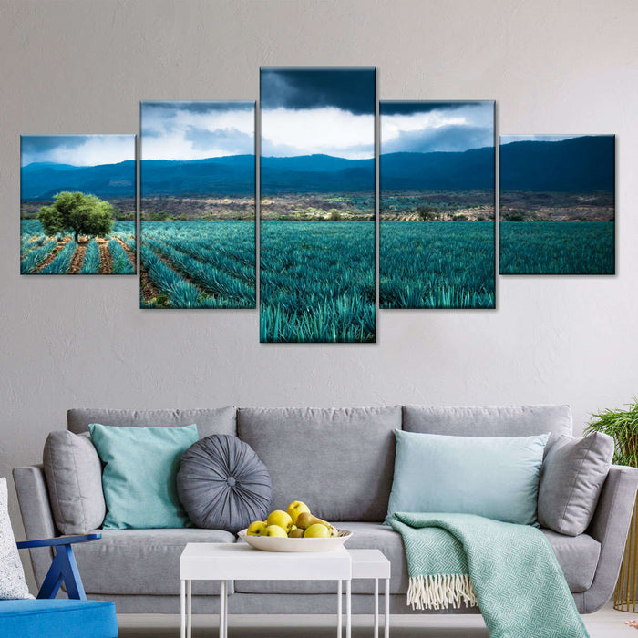 Agave Plantation At Morning Wall Art