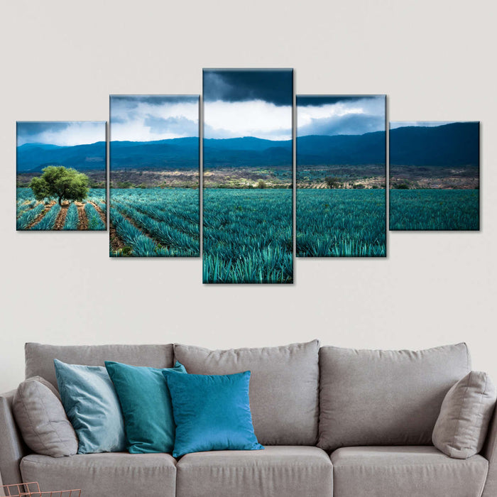 Agave Plantation At Morning Wall Art