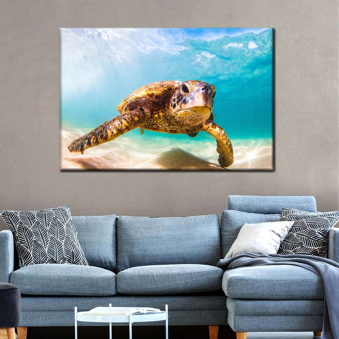 Hawaiian Turtle Wall Art