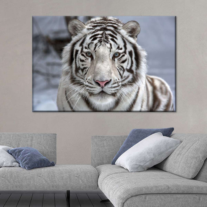 Endangered White Tiger Wall Art