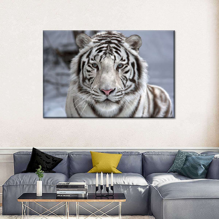 Endangered White Tiger Wall Art