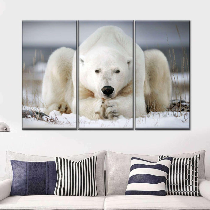 Yoga Polar Bear Wall Art