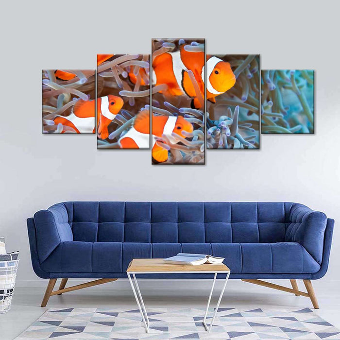 Clown Fish Wall Art