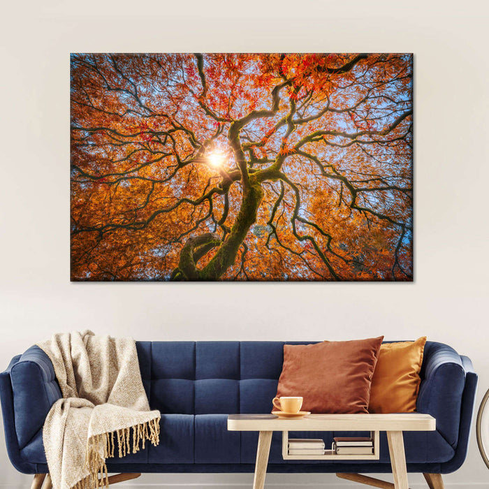 Japanese Maple Tree Wall Art