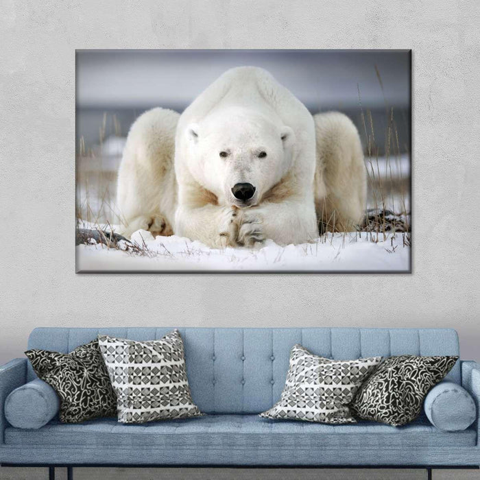 Yoga Polar Bear Wall Art