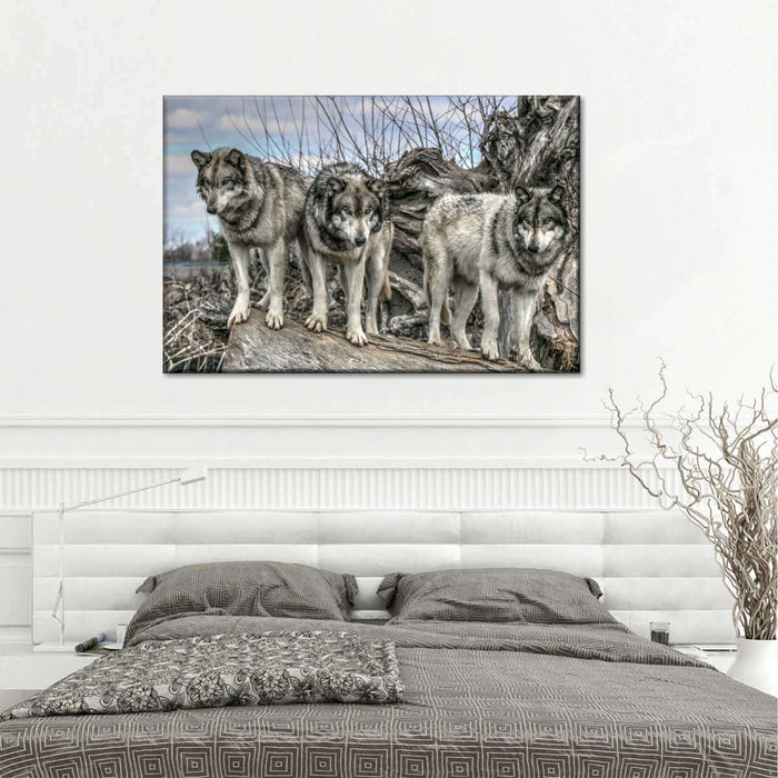 Forest Wolf Pack Wall Art