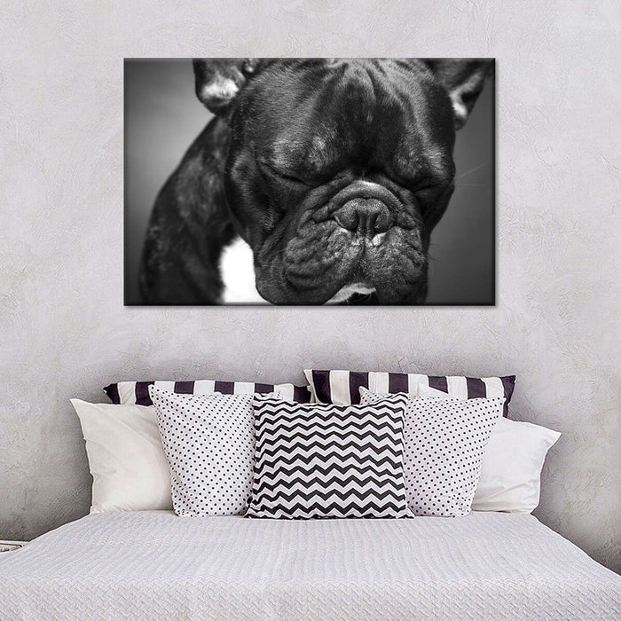 Melancholic French Bulldog Wall Art