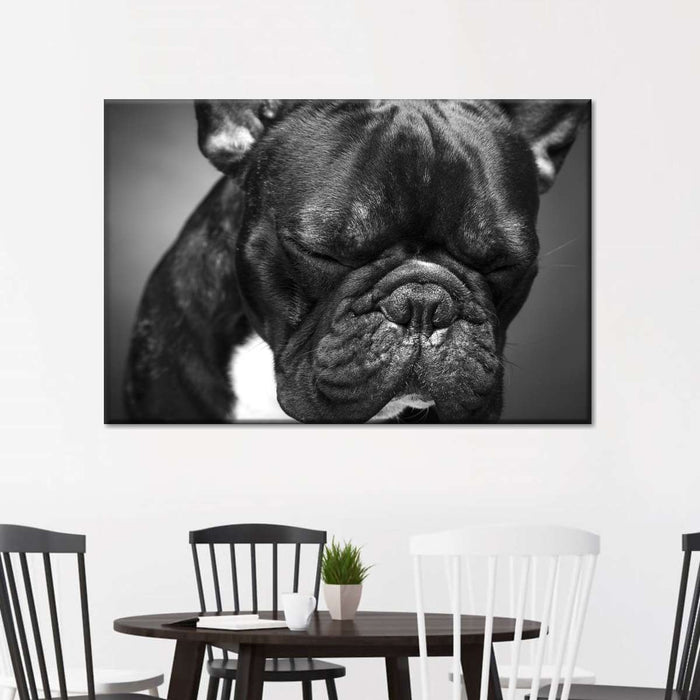 Melancholic French Bulldog Wall Art