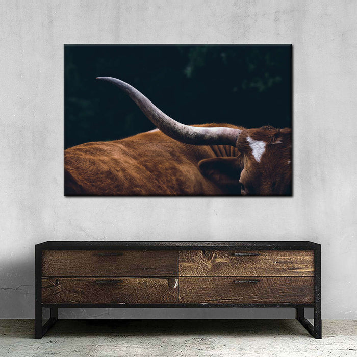 Cow Texas Longhorn Wall Art