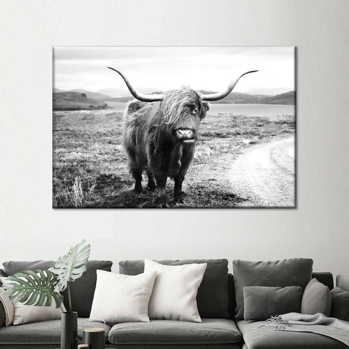 Highland Bull Wall Art