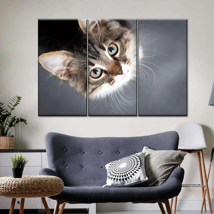 A Cat Wall Art