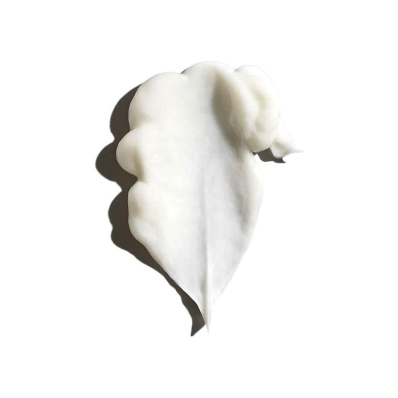 Oribe Oribe Signature Conditioner A Daily Indulgence  200 ml Conditioner