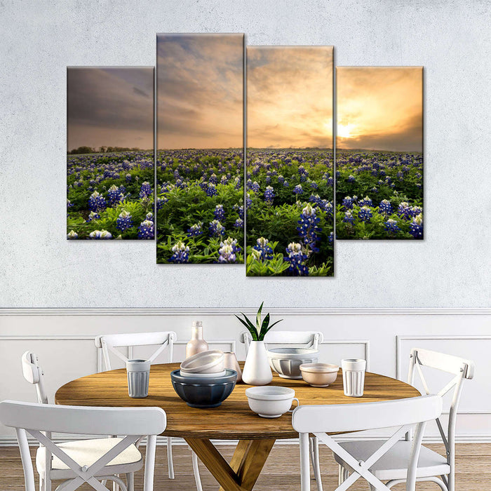 Bluebonnets At Sunset Wall Art