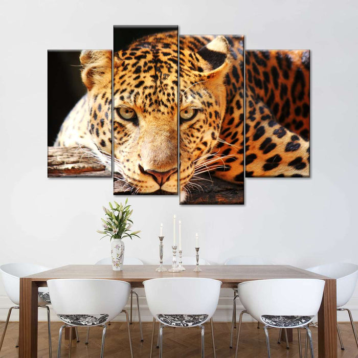 Leopard Gaze Wall Art