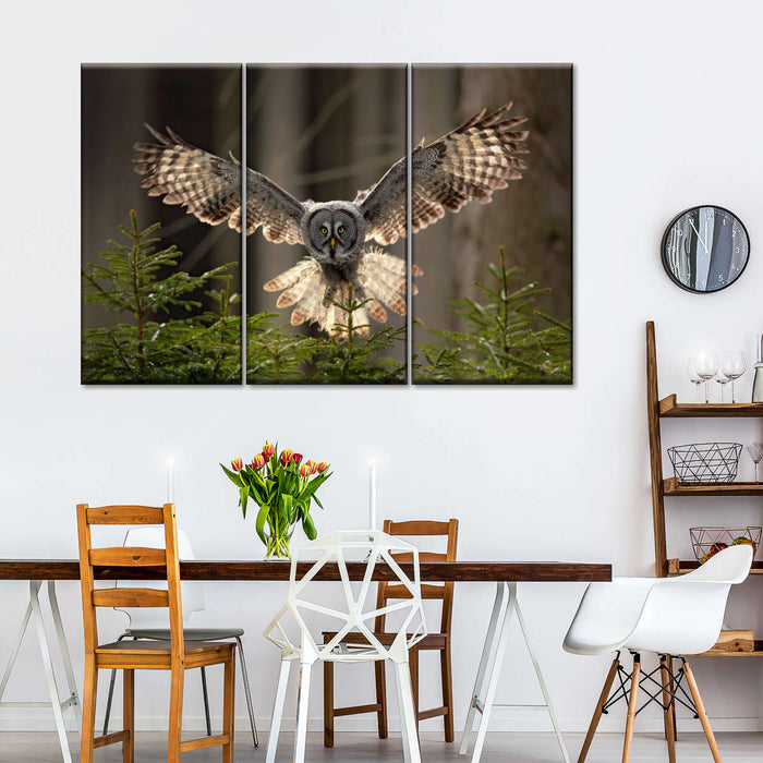 Flying Owl Wall Art