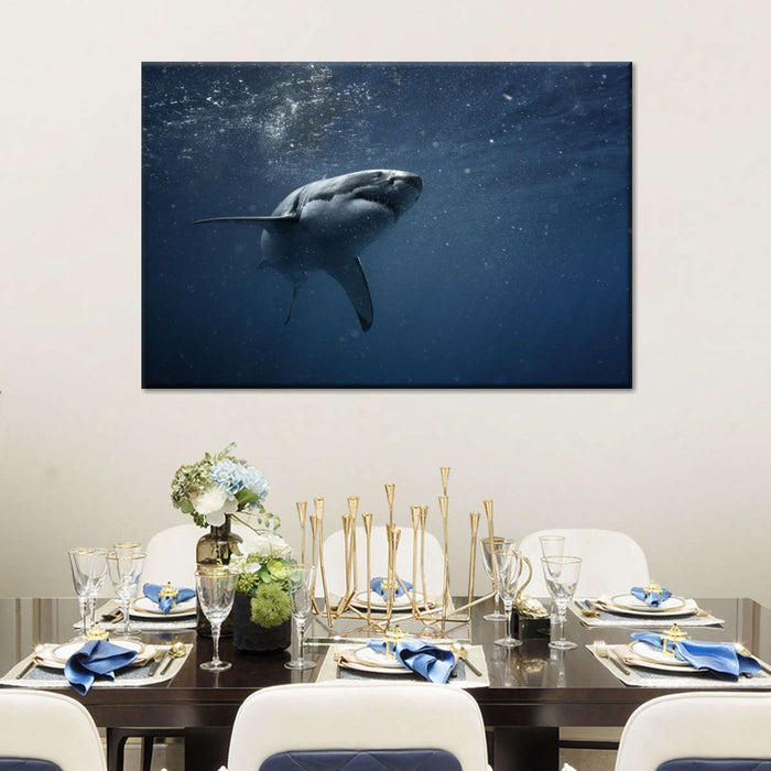 Great White Shark Wall Art