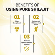 SiberianGreen.com Golden Mountains Shilajit Resin 100g: Pure Altai Mountains Shilajit by Siberian Green Body Wash