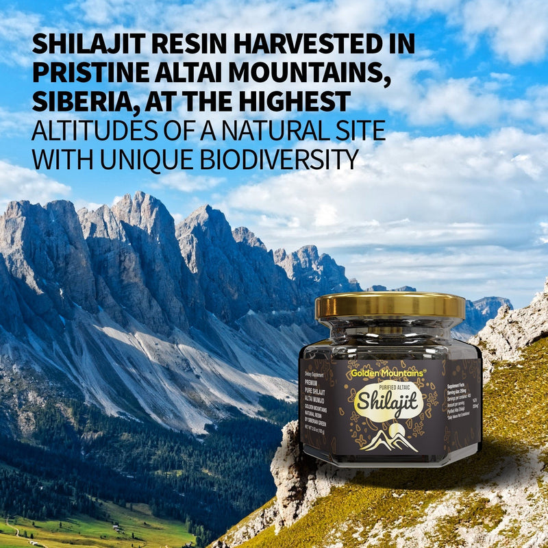 SiberianGreen.com Golden Mountains Shilajit Resin 100g: Pure Altai Mountains Shilajit by Siberian Green Body Wash