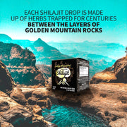 SiberianGreen.com Golden Mountains Shilajit Resin 100g: Pure Altai Mountains Shilajit by Siberian Green Body Wash