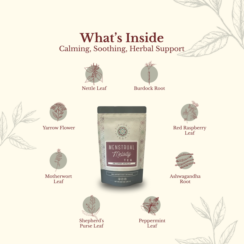 Euphoric Herbals Menstrual Melody Tea Herbal Tea Seashell 60 Cup Servings,30 Cup Servings