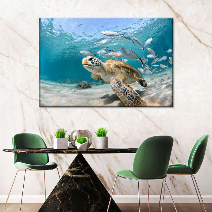 Curacao Fish And Turtle Wall Art