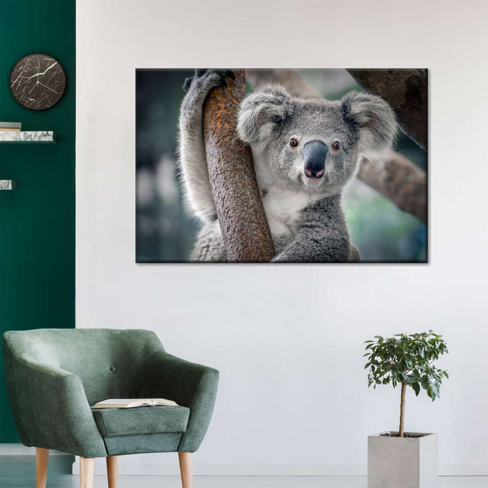 Happy Koala Wall Art