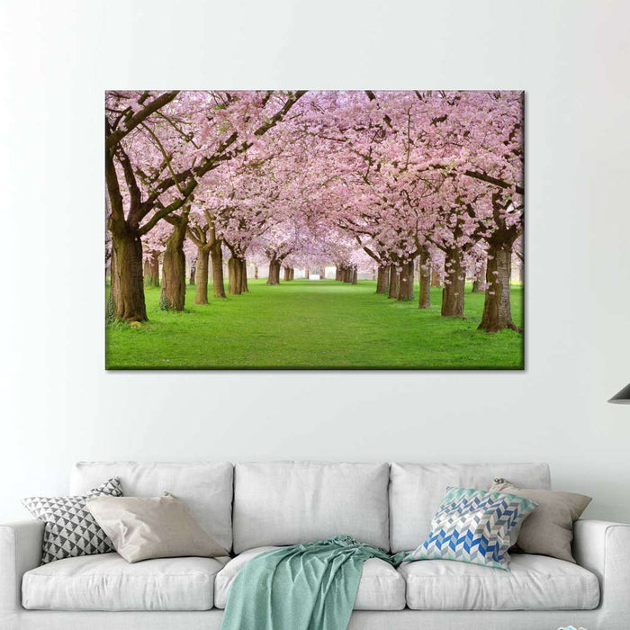 Cherry Blossom Trees Wall Art