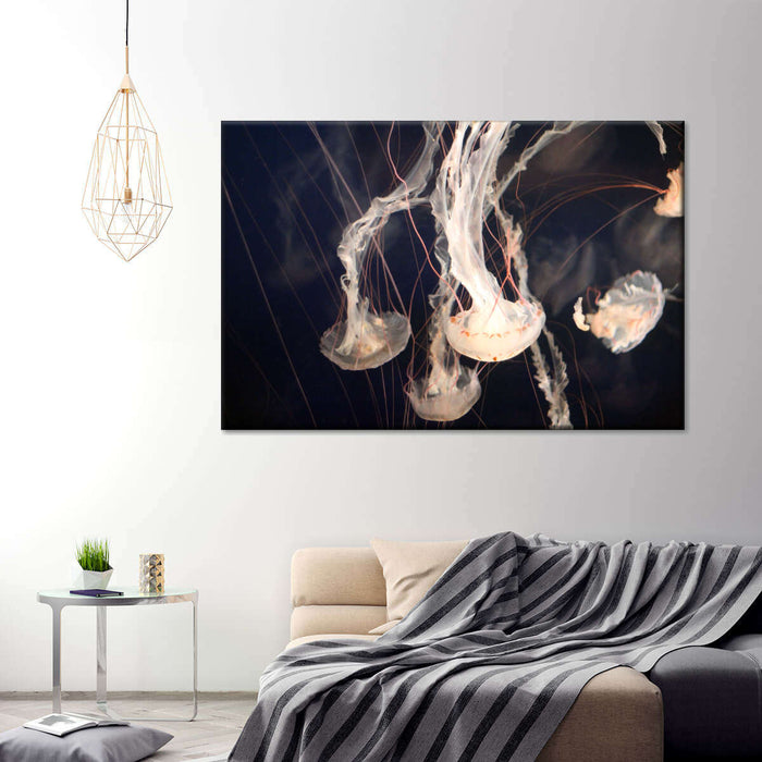 Light Of Jellyfish Wall Art