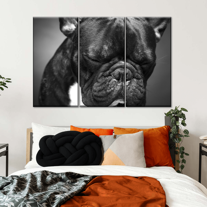 Melancholic French Bulldog Wall Art