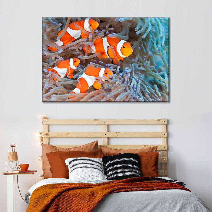 Clown Fish Wall Art