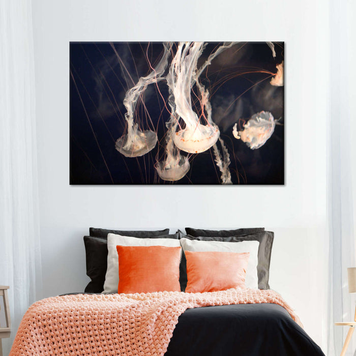 Light Of Jellyfish Wall Art