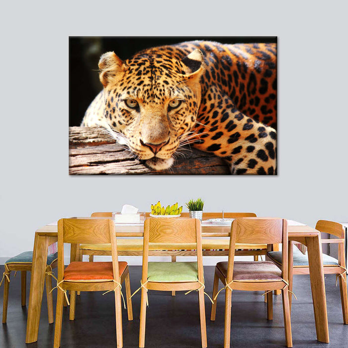 Leopard Gaze Wall Art