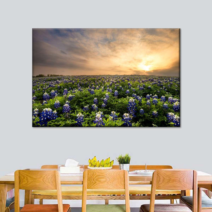 Bluebonnets At Sunset Wall Art