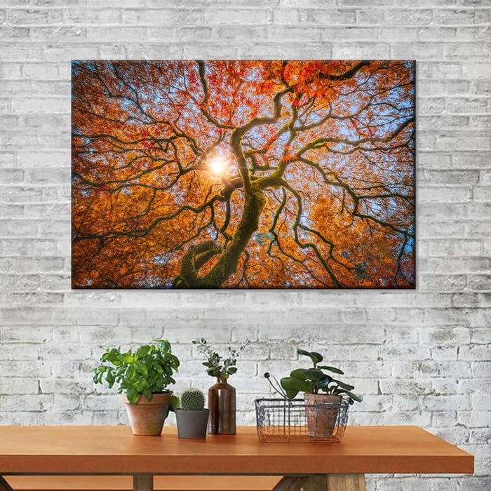 Japanese Maple Tree Wall Art