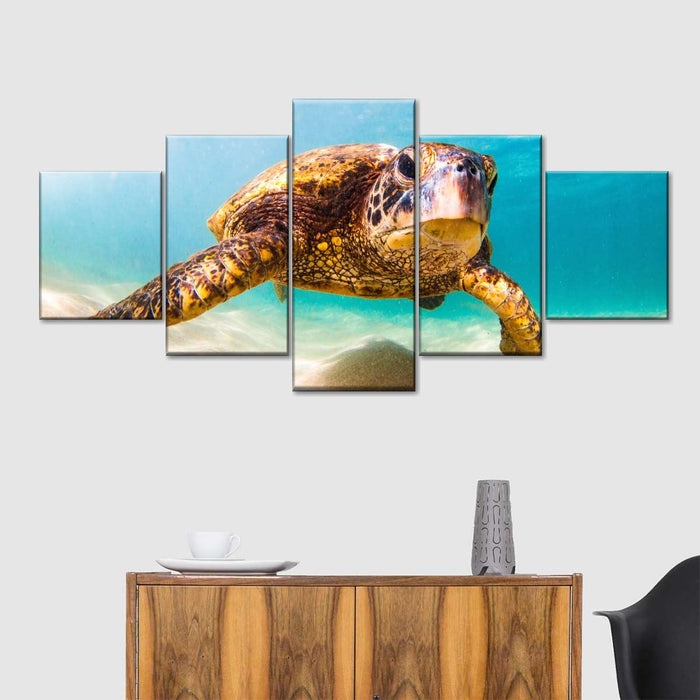 Hawaiian Turtle Wall Art