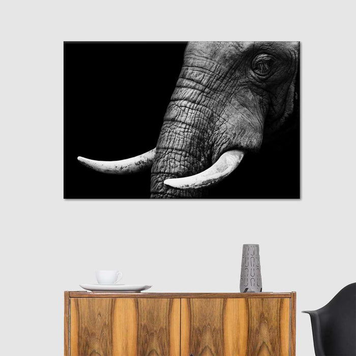 Elephant Close Up Wall Art