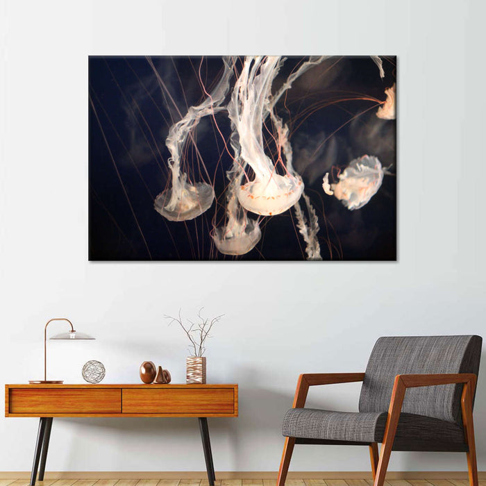 Light Of Jellyfish Wall Art