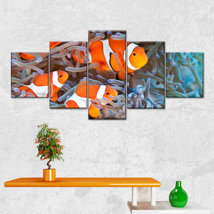 Clown Fish Wall Art